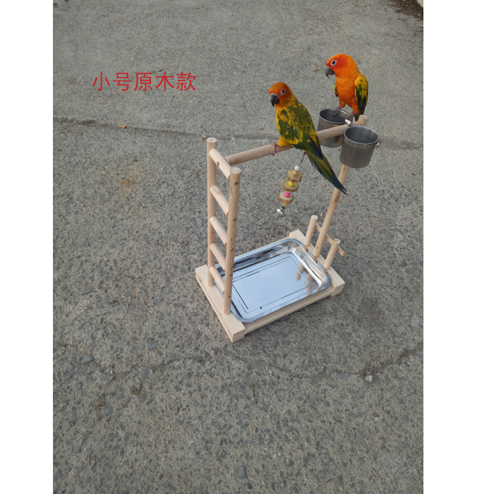 Xem ruồi máu, hạt tiêu, chân chim gỗ, lồng chim, chân đế, cột ga, vẹt đứng, và nguồn cung cấp chim lồng choè